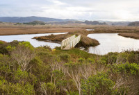 Pescadero Marsh Natural Preserve